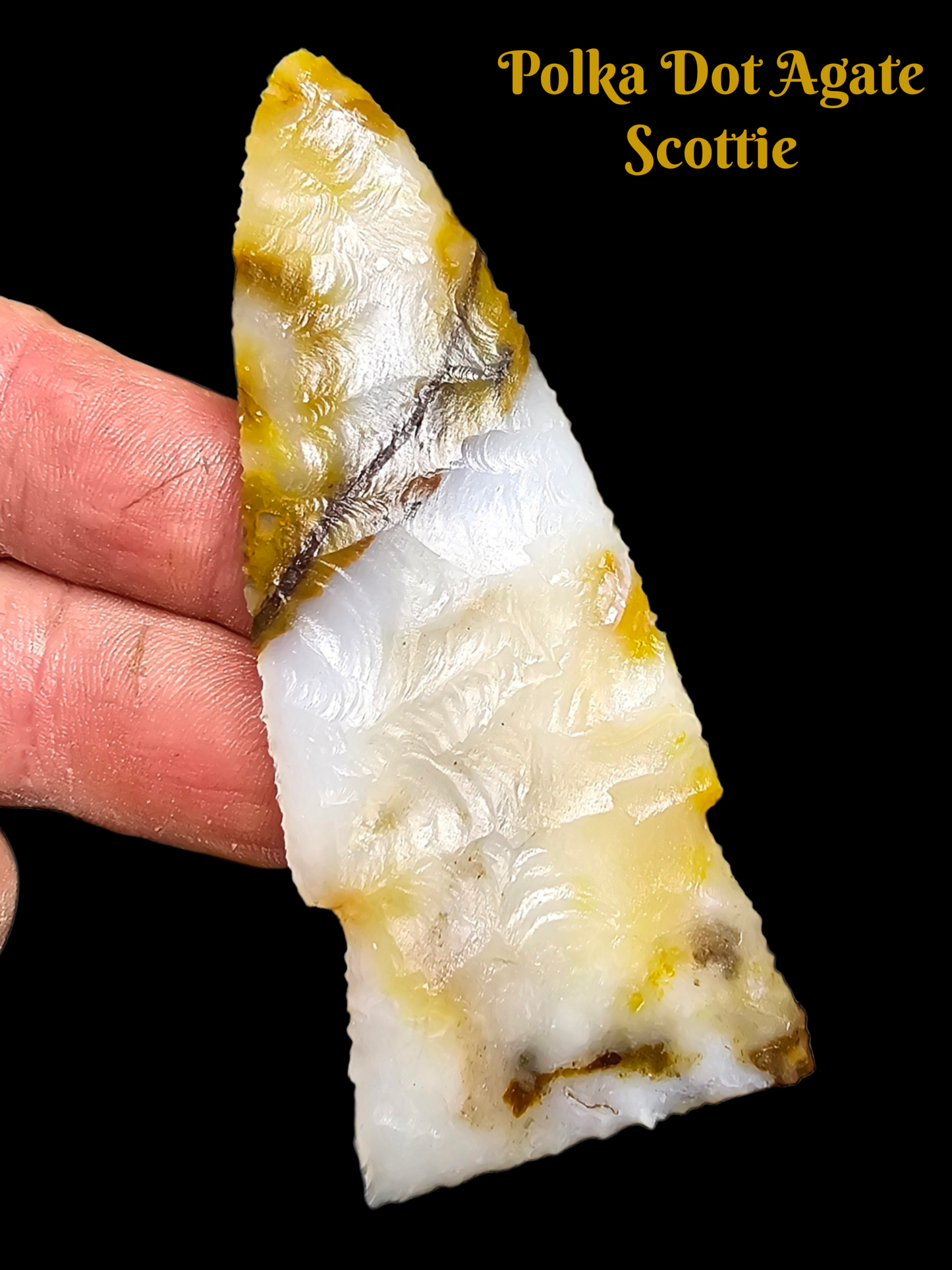 Page 1, Polkadot Agate Preforms,Flintknapping Slabs.