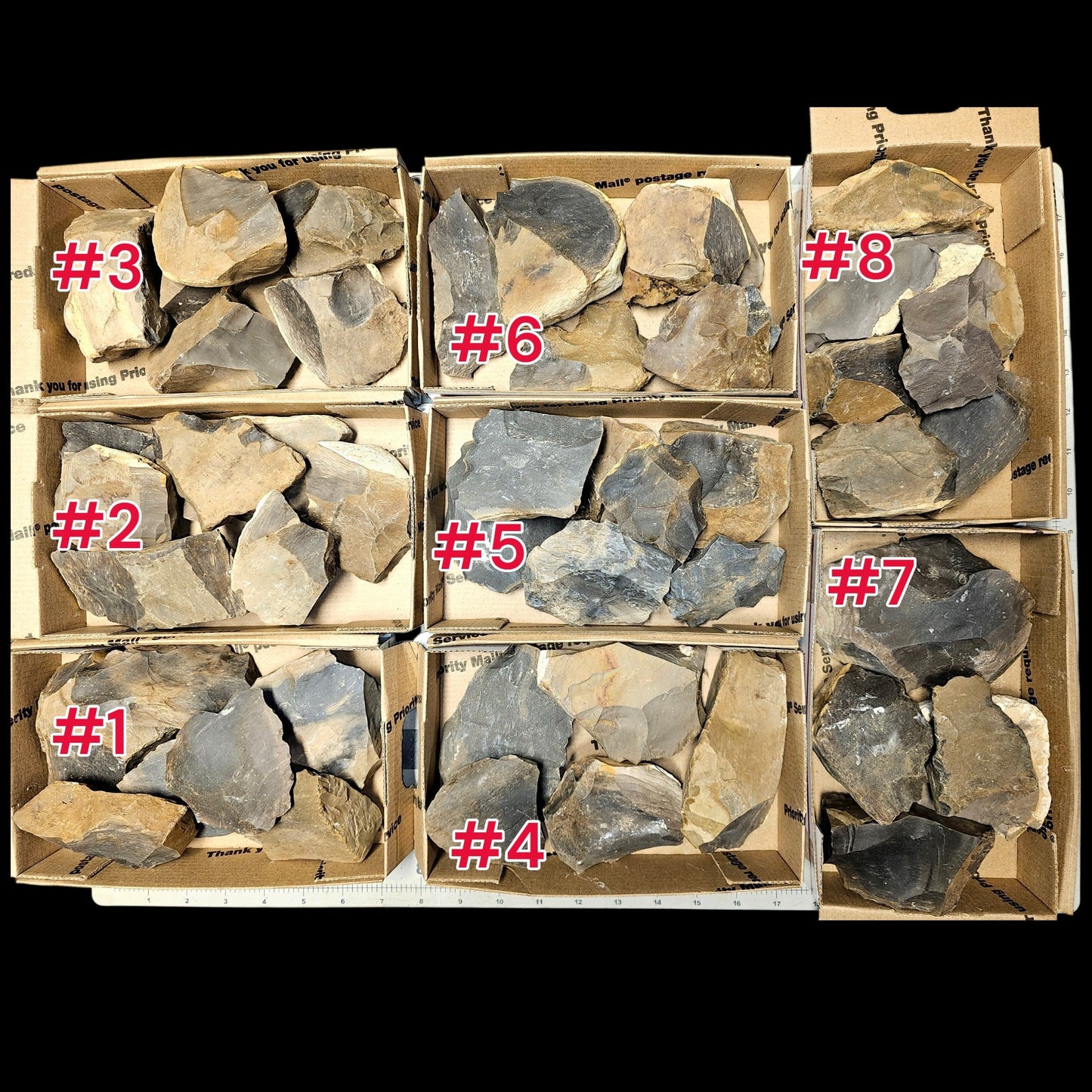 3+ Pounds Of Fort Payne chert