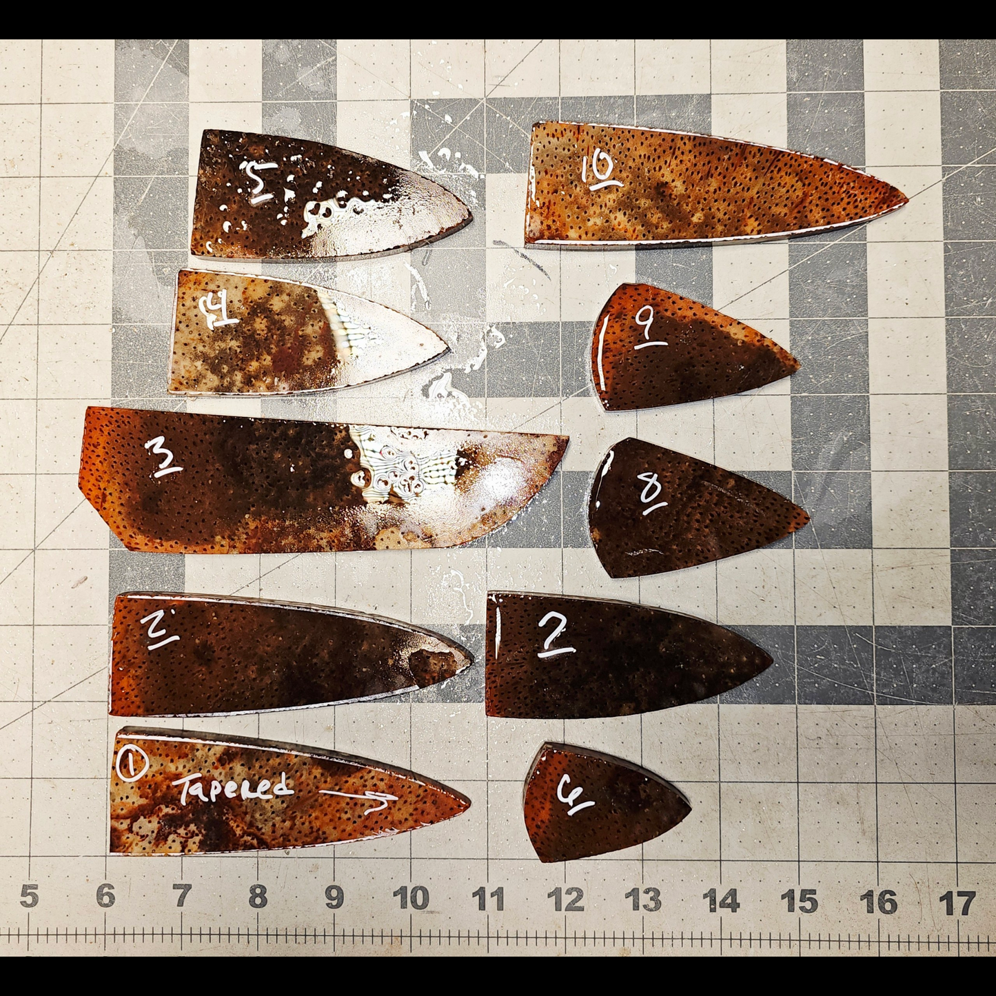 Page 1 Palm wood Preforms,Petrified Palm Wood, Flintknapping Slabs.