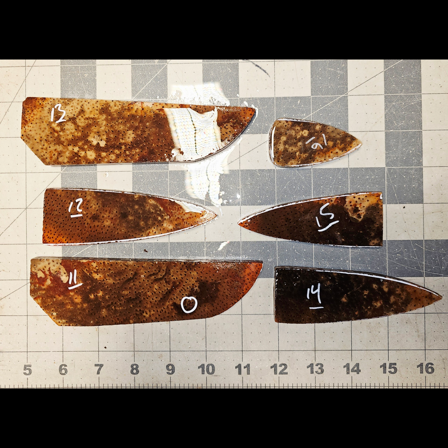 Page 2 Palm wood Preforms,Petrified Palm Wood, Flintknapping Slabs.