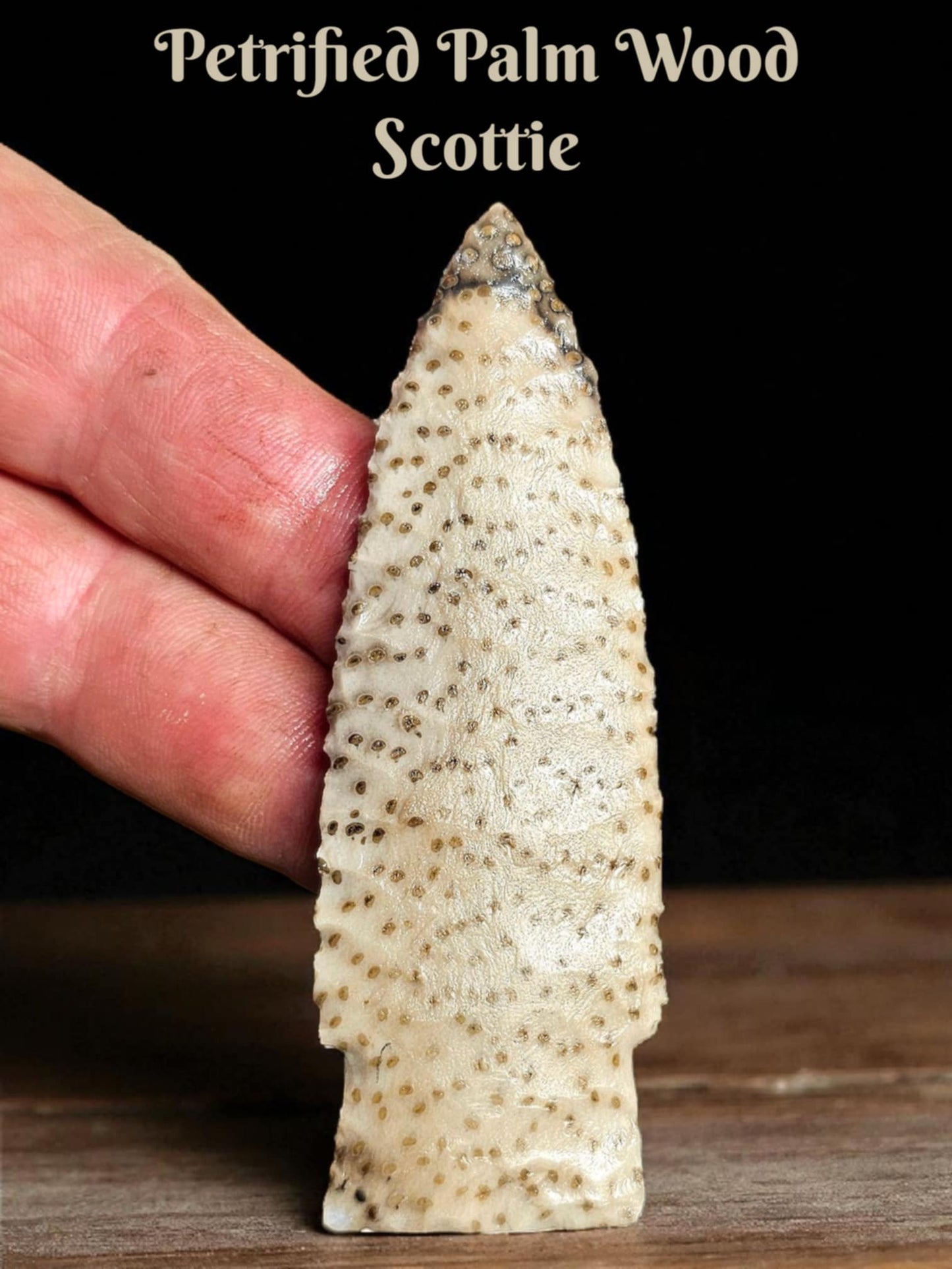 Page 1 Palm wood Preforms,Petrified Palm Wood, Flintknapping Slabs.