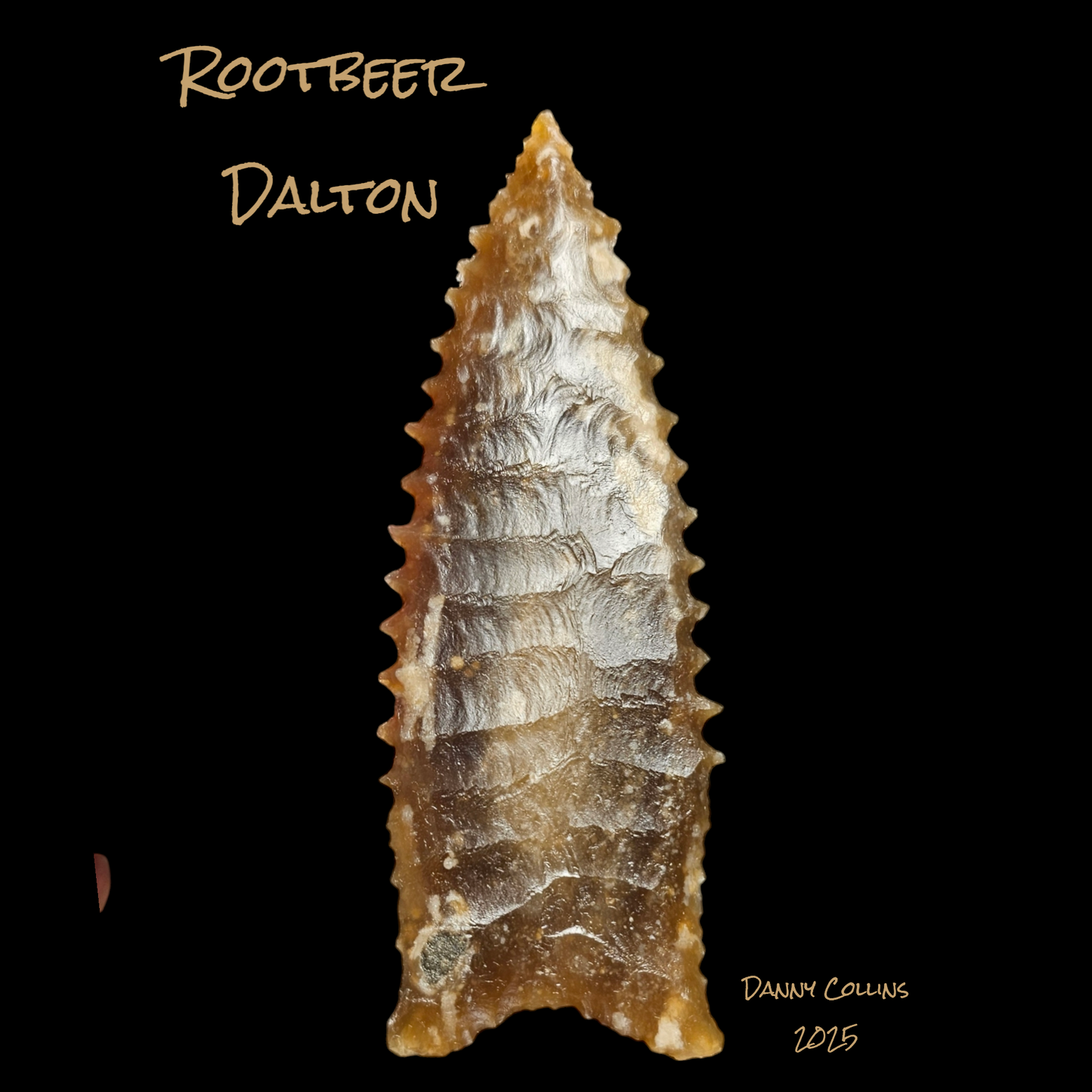 Serrated Rootbeer Dalton, Arrowhead / Spear Point