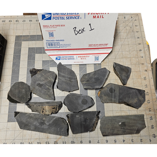 Box 1 Burns Green Obsidian & Obsidian Percussion Slabs & End Cuts