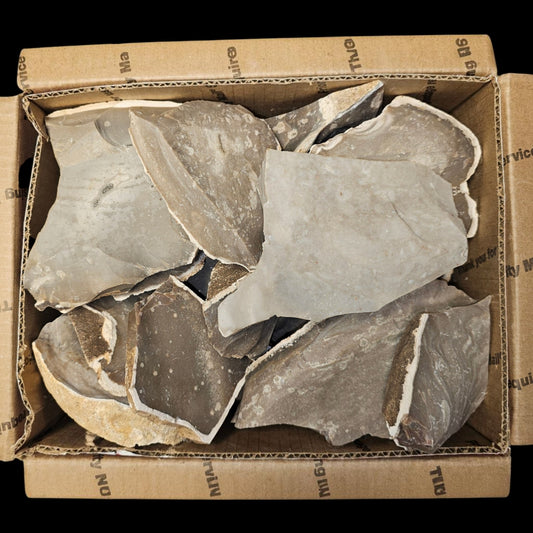 20+ Pounds Heat Treated Texas Flint, Edward Plateau Flint, Flintknapping, Lapidary