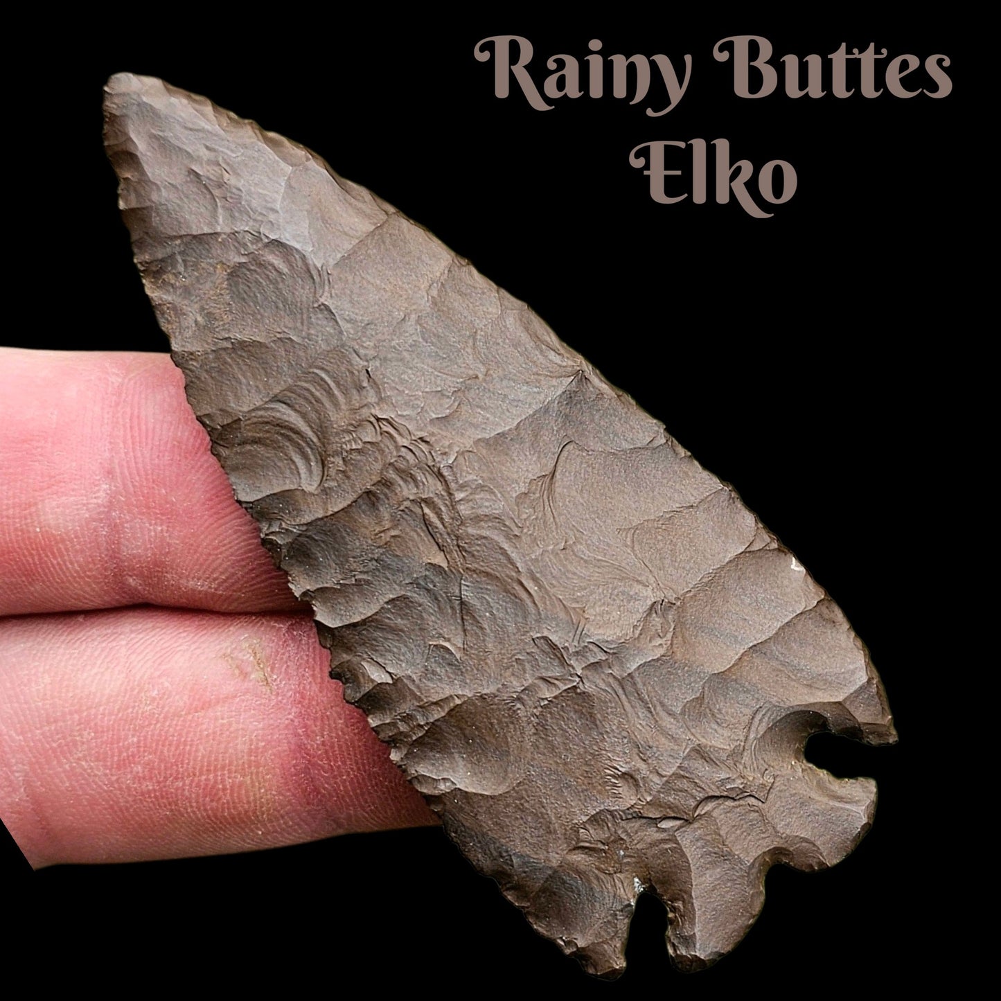 Rainy Buttes Elko Arrowhead / Spear Point