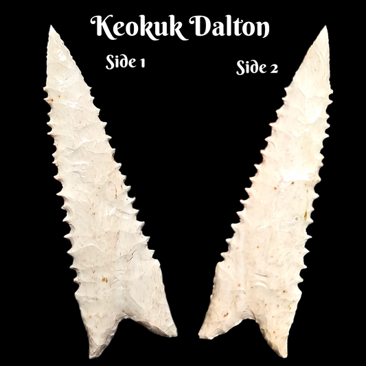 Dalton Arrowhead / Spear Point, Serrated Keokuk Dalton Arrowhead