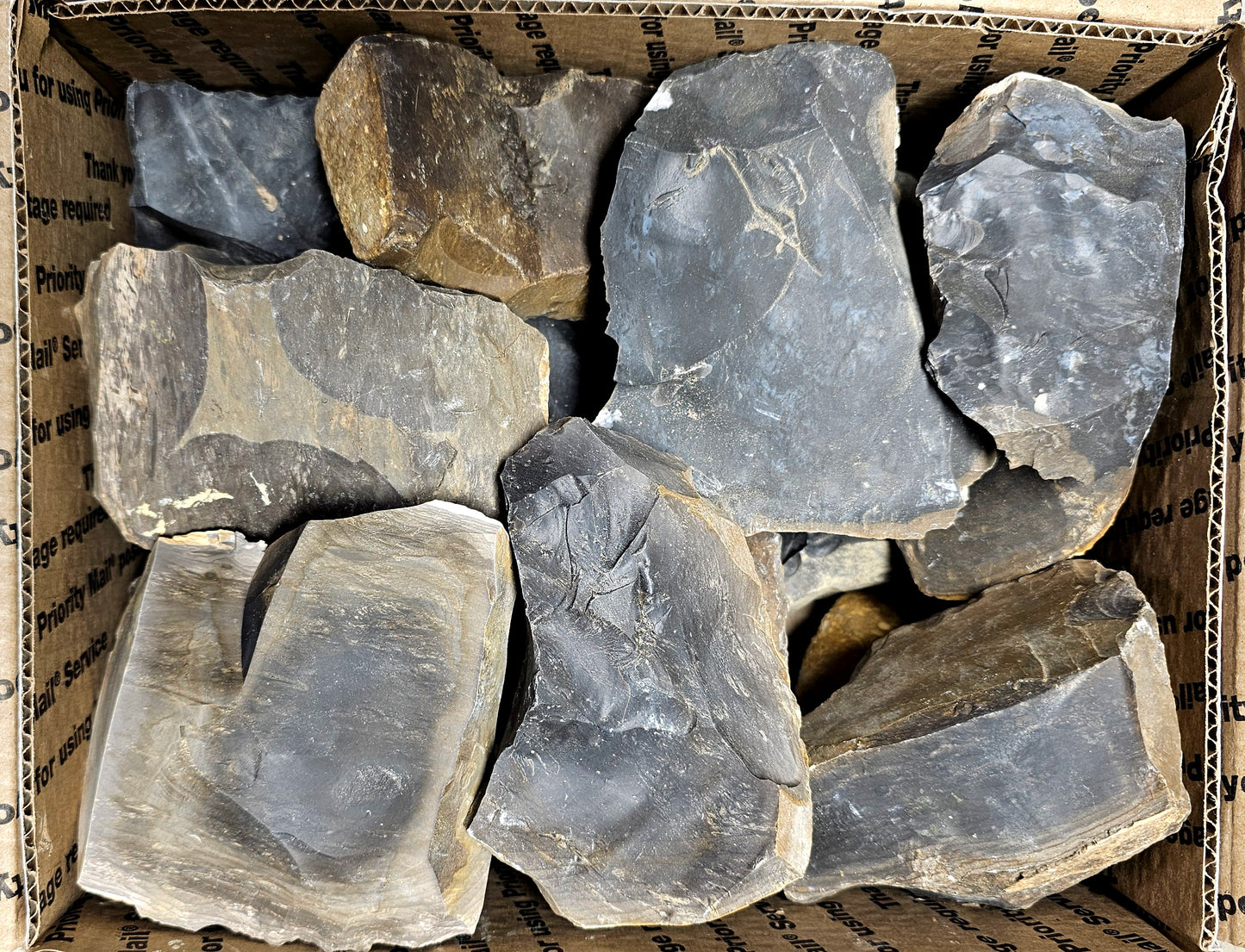 20+ Pounds of Fort Payne Flint