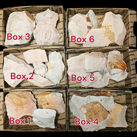 Page One 3+ Pounds Of Burlington chert, Heat Treated Flint