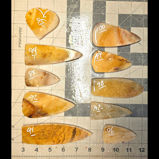Page 10 Paiute Agate Preforms, Flintknapping Slabs.