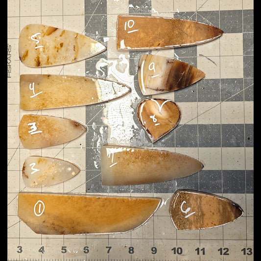 Page 1 Paiute Agate Preforms, Flintknapping Slabs.