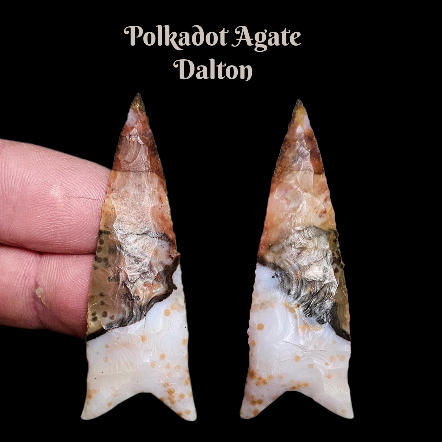 PolkadotAgateDalton/ Dalton Arrowhead/ Spear Point/ Stone Arrowhead
