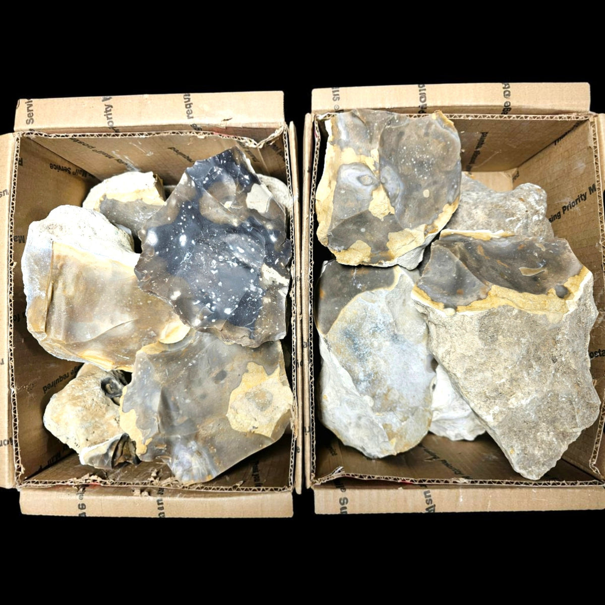 20+ Pounds of Ameba Flint, Texas Flint, Flintknapping