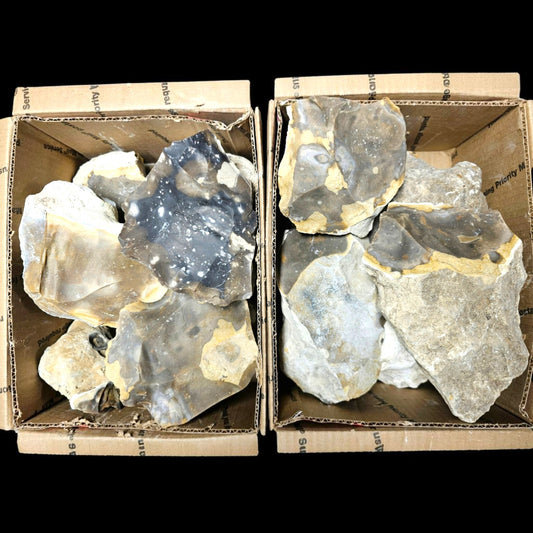 20+ Pounds of Ameba Flint, Texas Flint, Flintknapping